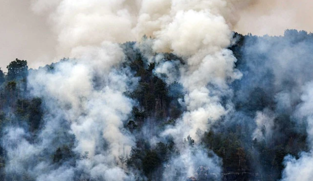 Waldbrände wüten auf 1750 ha